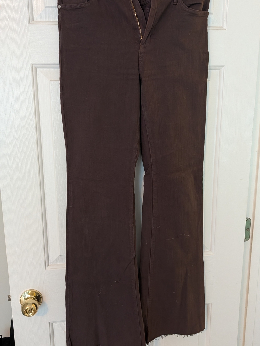 Just Black Women's Chocolate Brown Flare Jeans